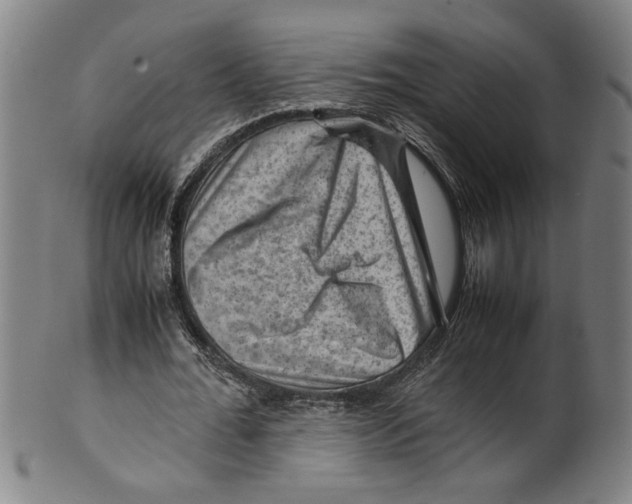 X0000099410676200806060932