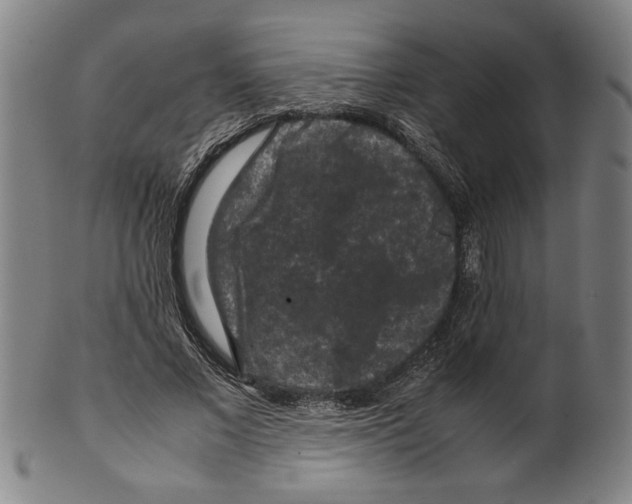 X0000099410685200806060932