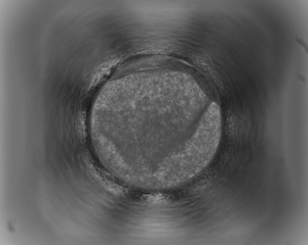 X0000099410688200806060932