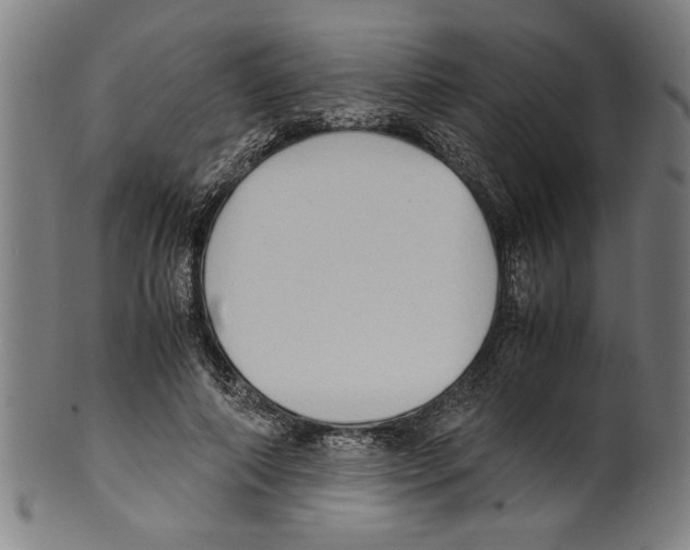 X0000099410690200806060932