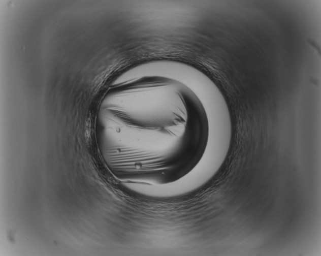 X0000099410691200806060932