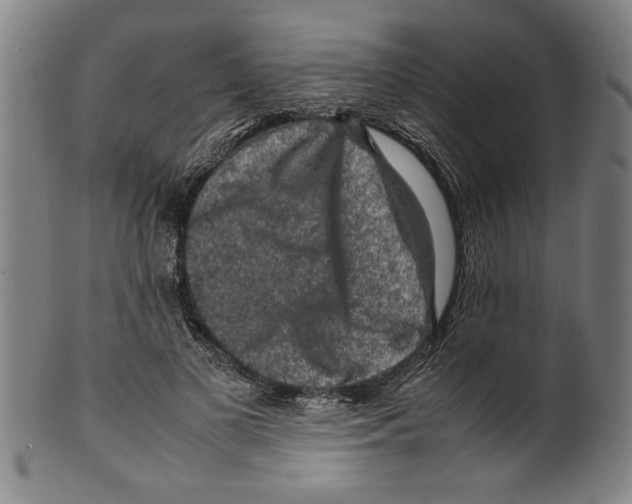 X0000099410693200806060932