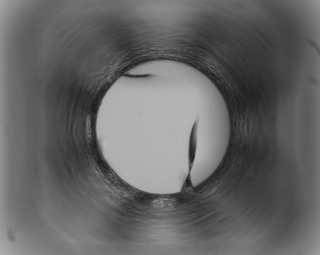 X0000099410700200806060932