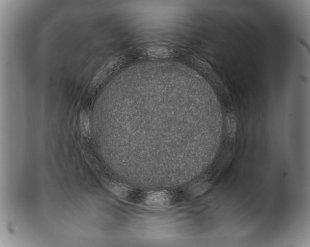 X0000099410705200806060932