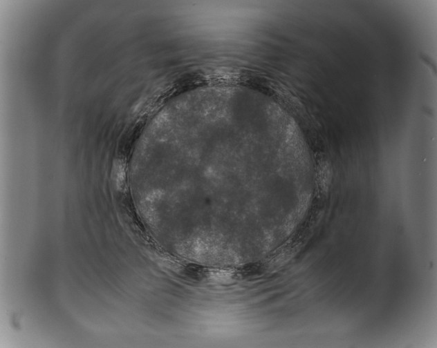 X0000099410709200806060931