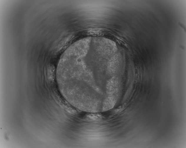 X0000099410712200806060931