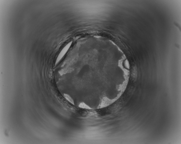 X0000099410715200806060931