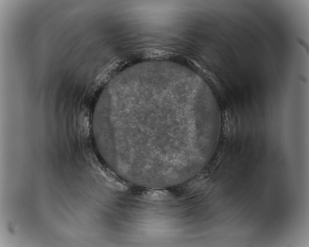 X0000099410716200806060931