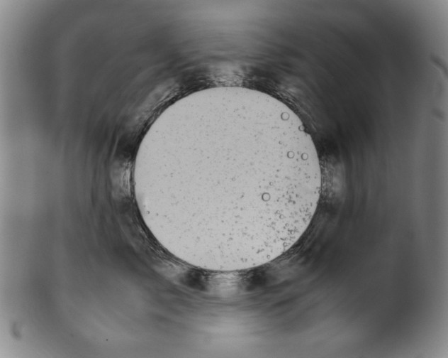 X0000099410717200806060931