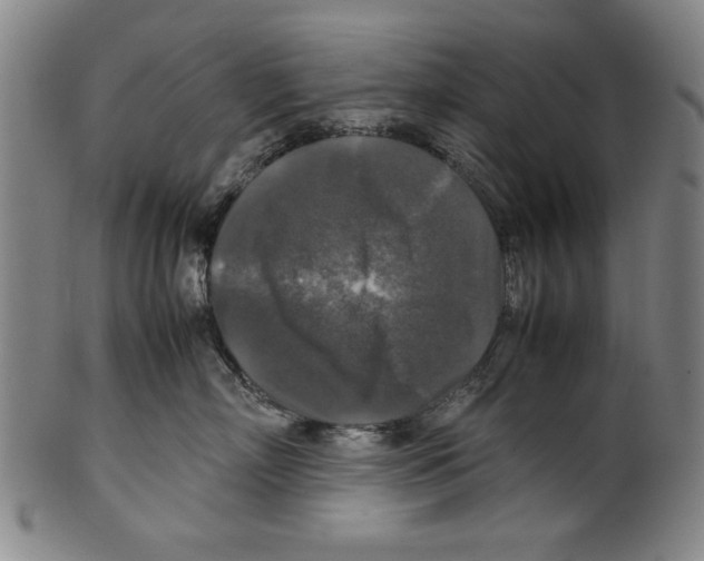 X0000099410718200806060931