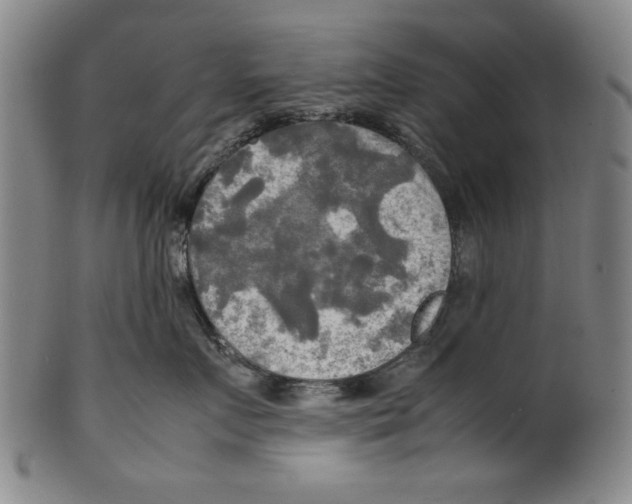 X0000099410719200806060931