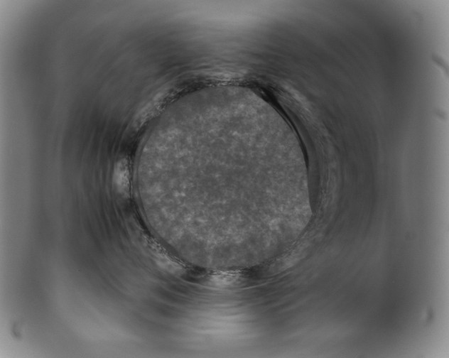 X0000099410720200806060931