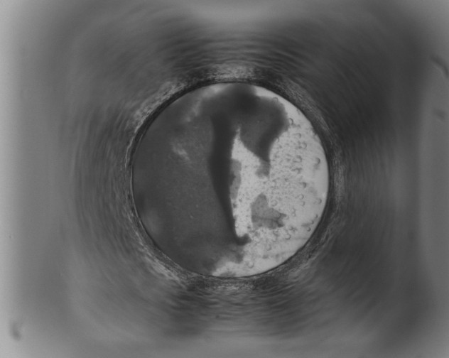 X0000099410721200806060931