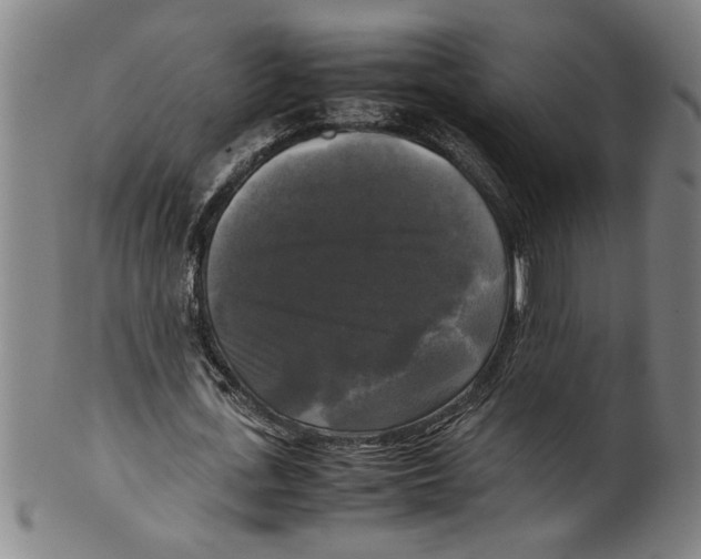 X0000099410723200806060931