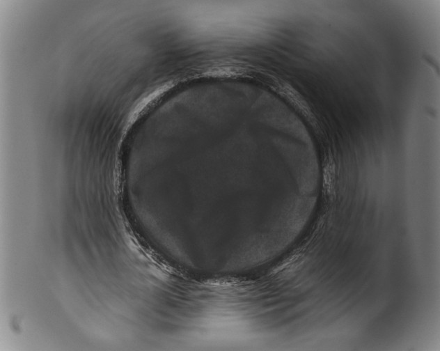 X0000099410724200806060931