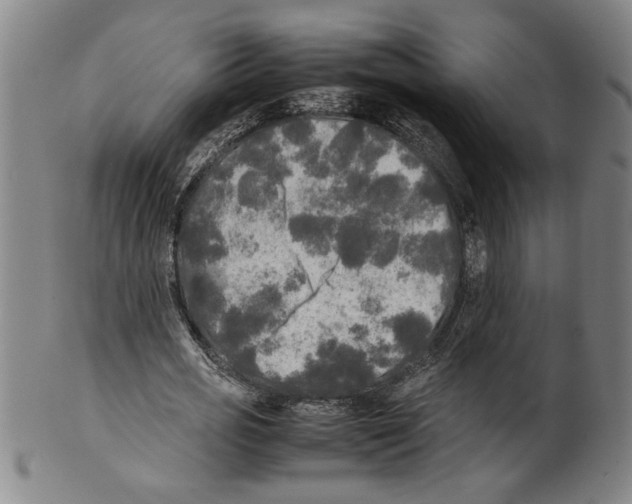 X0000099410725200806060931