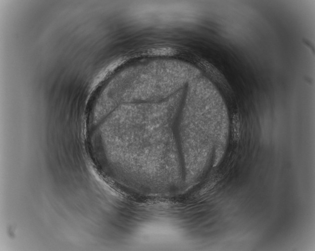 X0000099410726200806060931