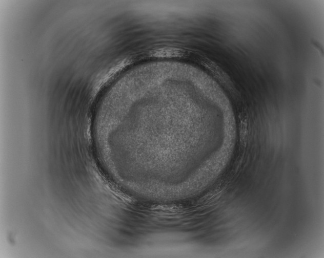 X0000099410727200806060931