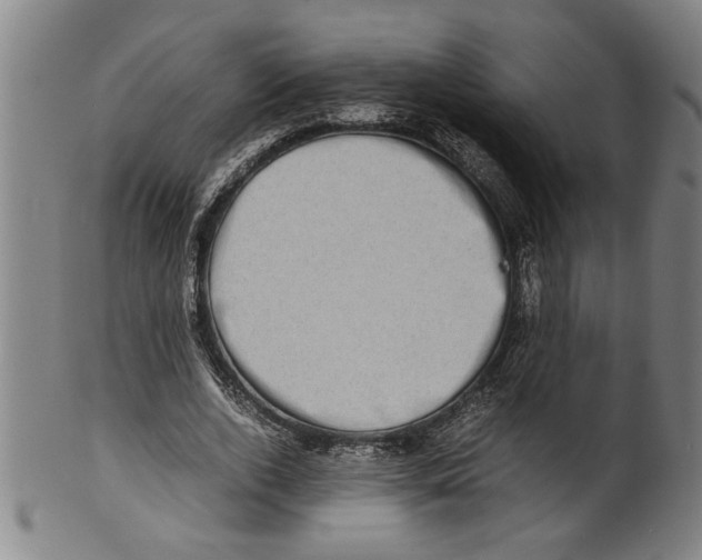 X0000099410728200806060931