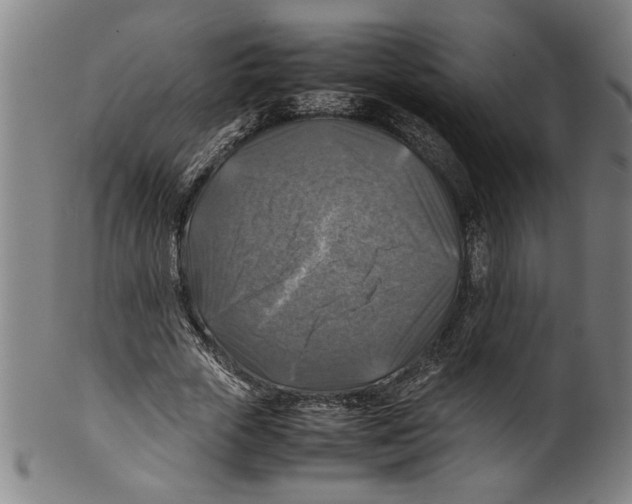 X0000099410729200806060931