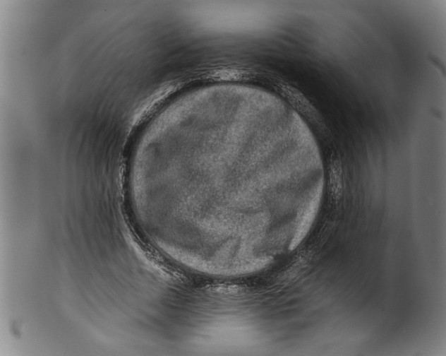 X0000099410730200806060931