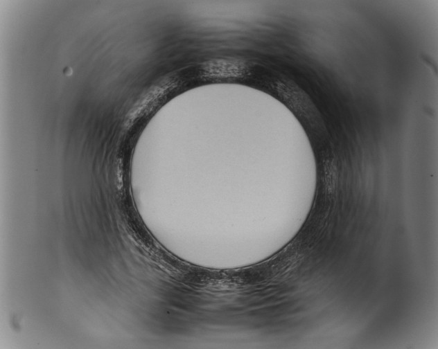 X0000099410731200806060931