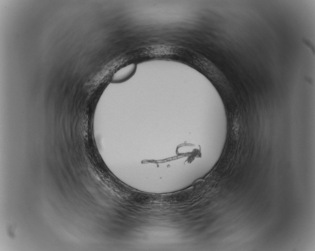 X0000099410732200806060931