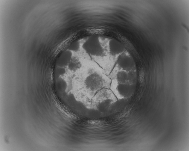 X0000099410733200806060931