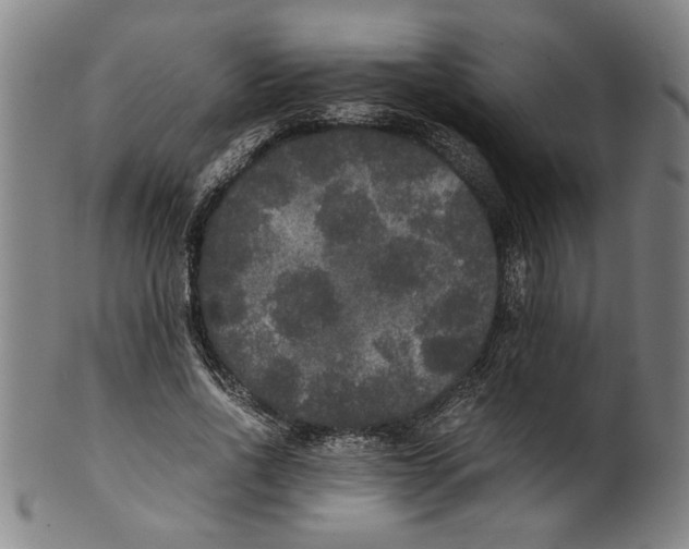 X0000099410734200806060931