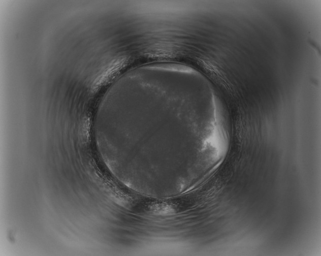 X0000099410735200806060931