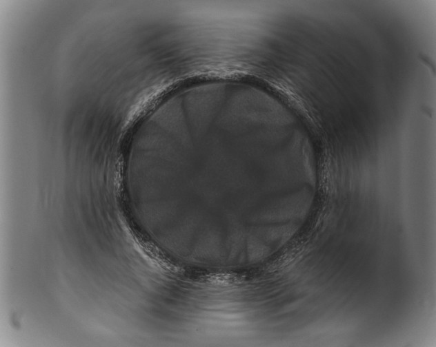 X0000099410736200806060931