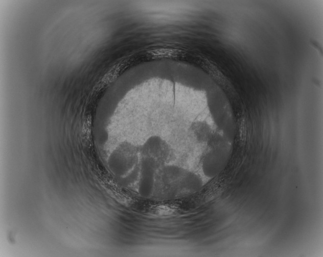 X0000099410737200806060931