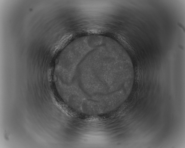 X0000099410738200806060931