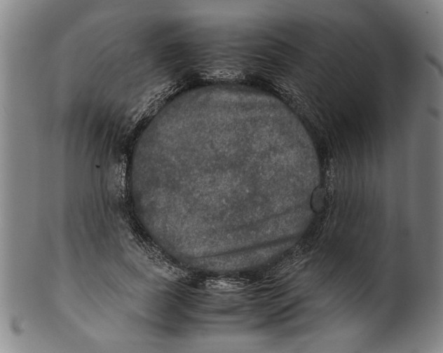 X0000099410739200806060931