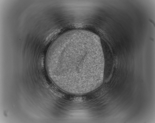 X0000099410740200806060931