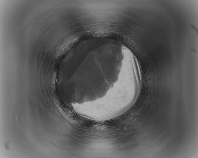 X0000099410742200806060931