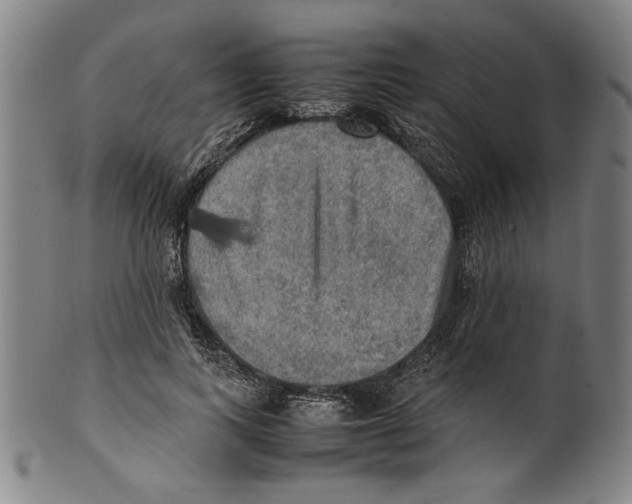 X0000099410743200806060931