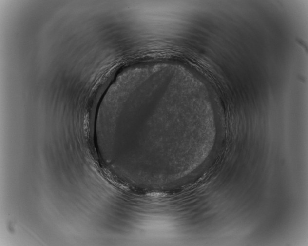 X0000099410748200806060931