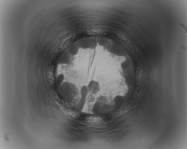 X0000099410749200806060931