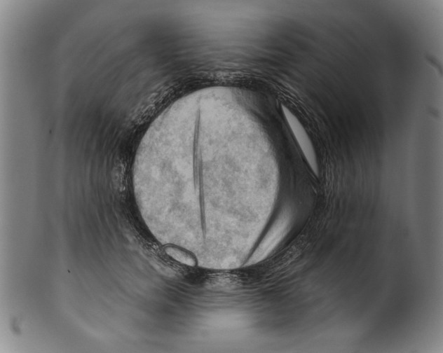 X0000099410750200806060931