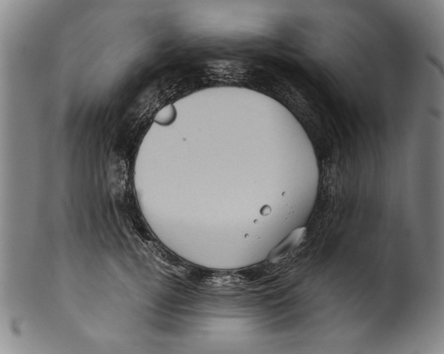 X0000099410752200806060931