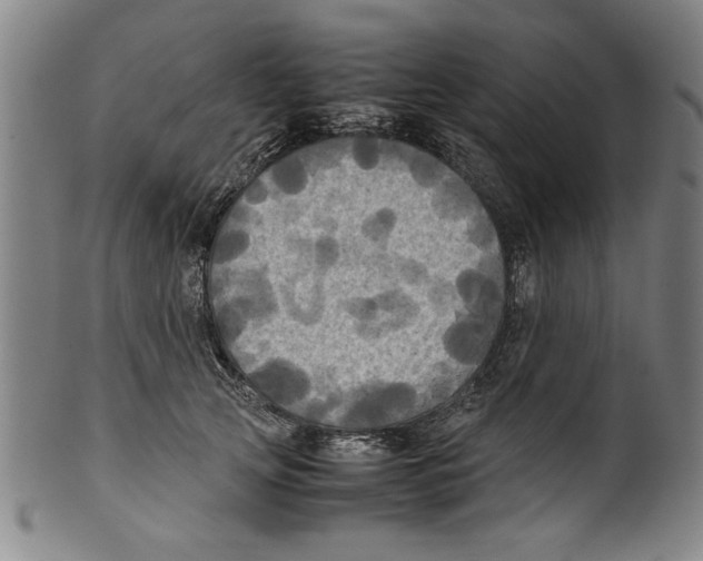 X0000099410753200806060931