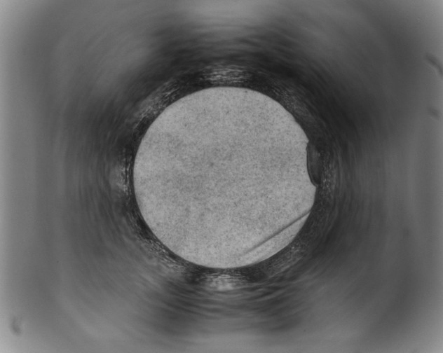 X0000099410755200806060931