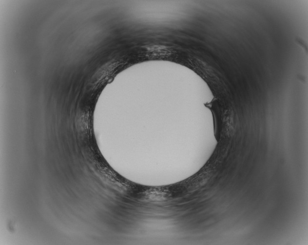 X0000099410756200806060931