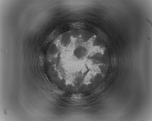 X0000099410757200806060931