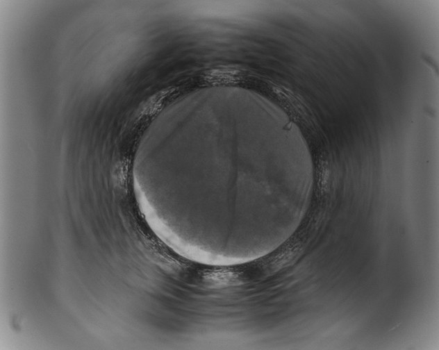 X0000099410759200806060931