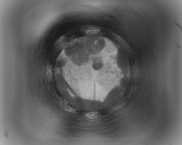 X0000099410761200806060931