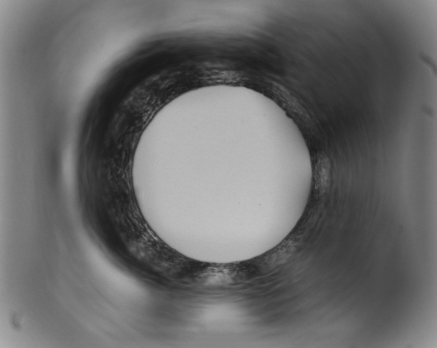 X0000099410764200806060931