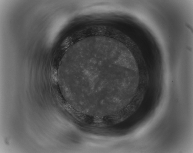 X0000099410766200806060931