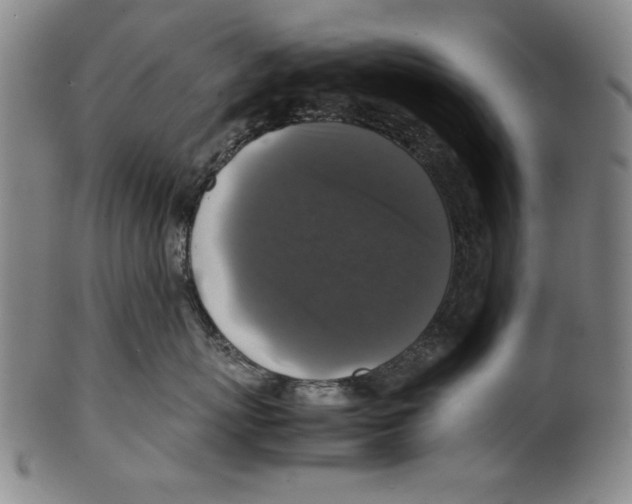 X0000099410767200806060931